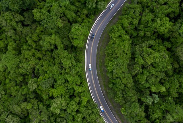 Aerial view road going through forest, Road through the green fo road-going-through-forest